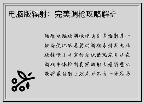 电脑版辐射：完美调枪攻略解析