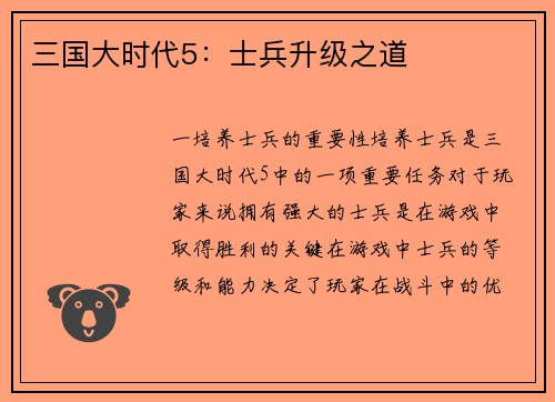 三国大时代5：士兵升级之道